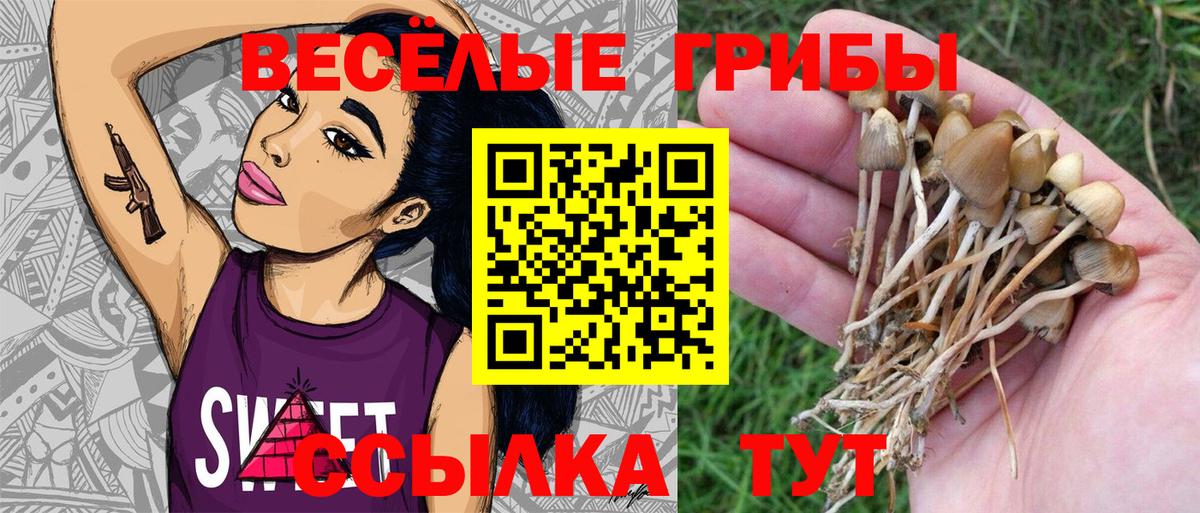 Галлюциногенные грибы мицелий  Псилоцибиновые грибы Psilocybine cubensis  Вход с VPN  Зерноград 