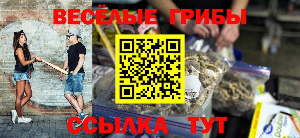 Псилоцибиновые грибы GOLDEN TEACHER Зерноград