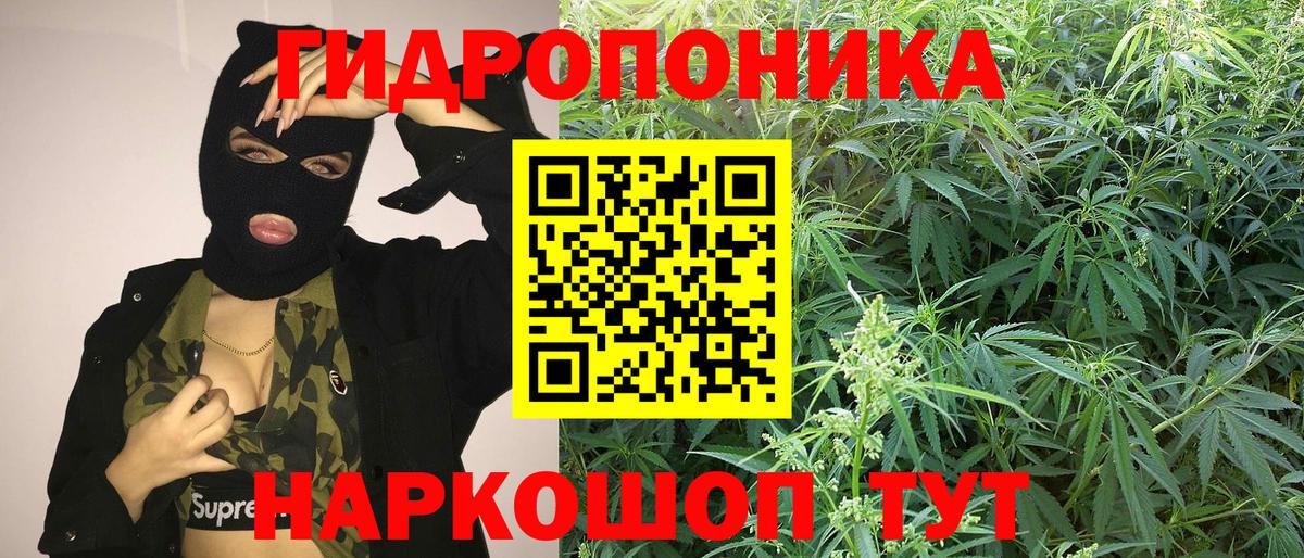 Канабис Amnesia  Марихуана AK-47  Зерноград  МАРИХУАНА планчик  Вход с VPN 