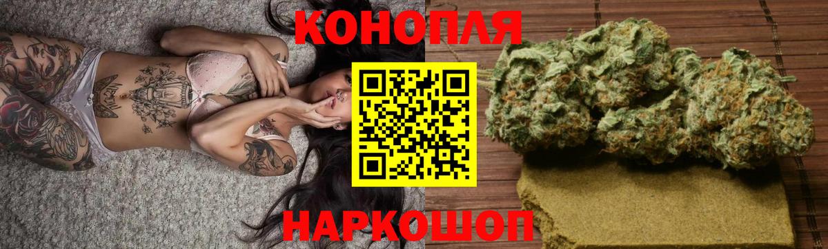 Канабис план Зерноград
